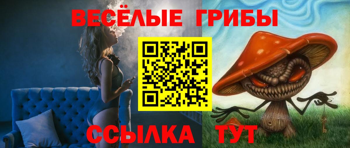 Где продают наркотики?  Канабис  Вход с VPN  COCAIN  Борисоглебск  МЕФ кристаллы  ГАШ 