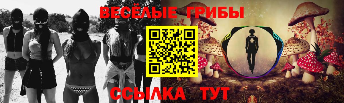 Псилоцибиновые грибы Psilocybine cubensis Борисоглебск